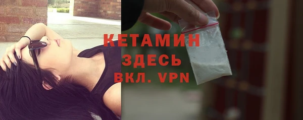 сатива Ростов