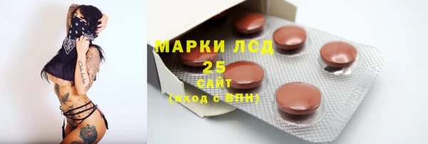 сатива Ростов