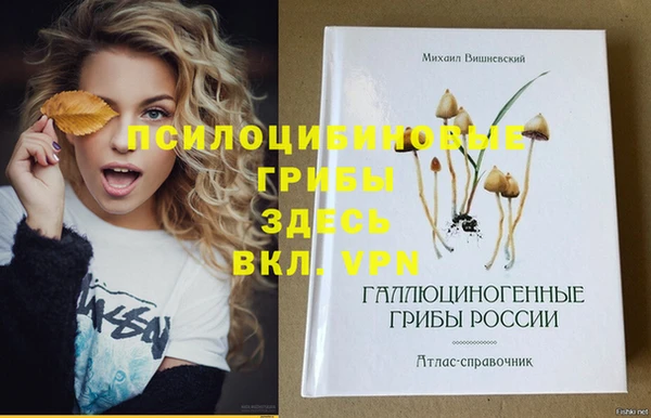 героин Абаза