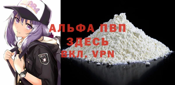 сатива Ростов