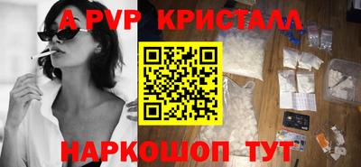 гашик Котовск